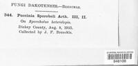 Puccinia sporoboli image